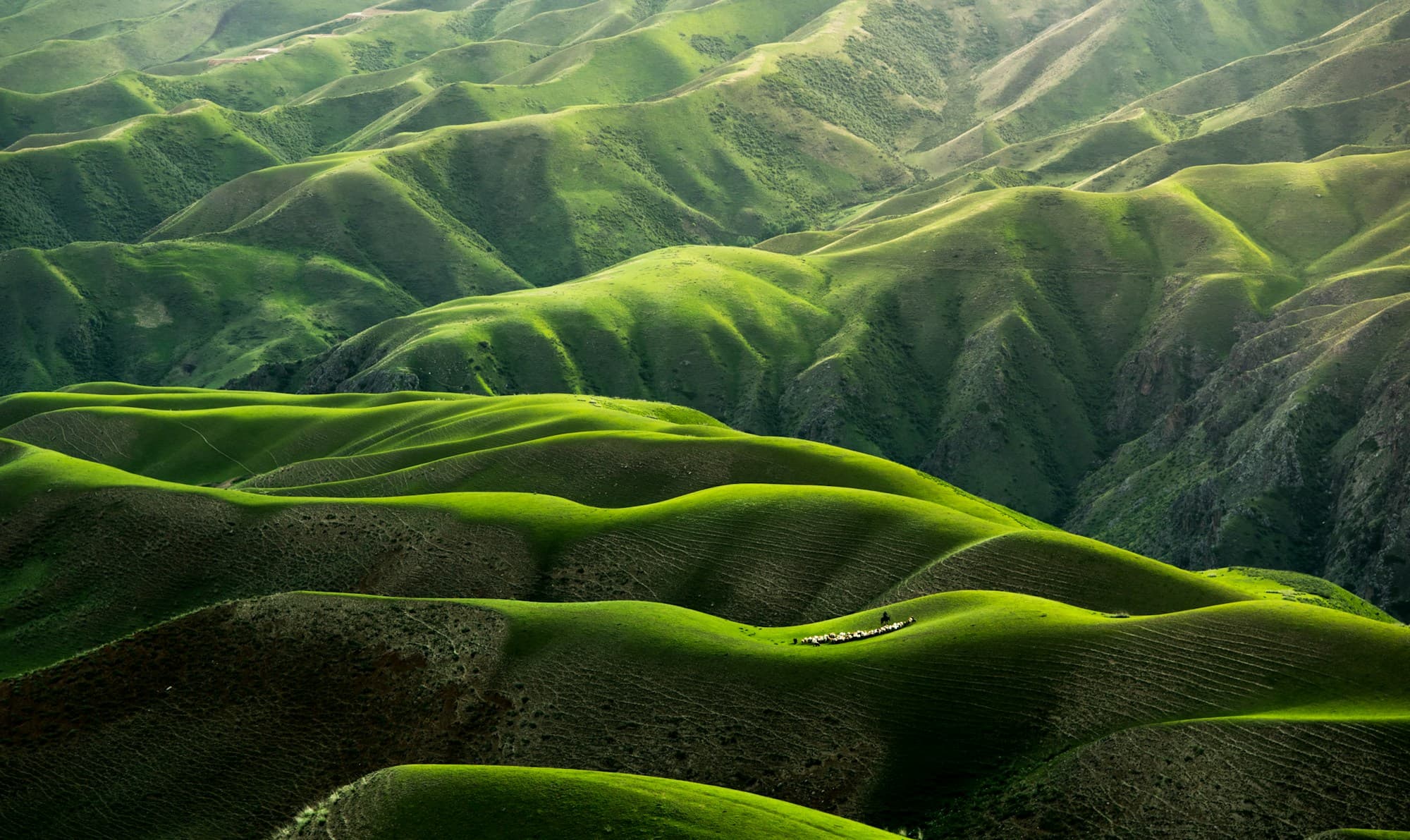 Colinas verdes cubiertas de pasto, vista aérea