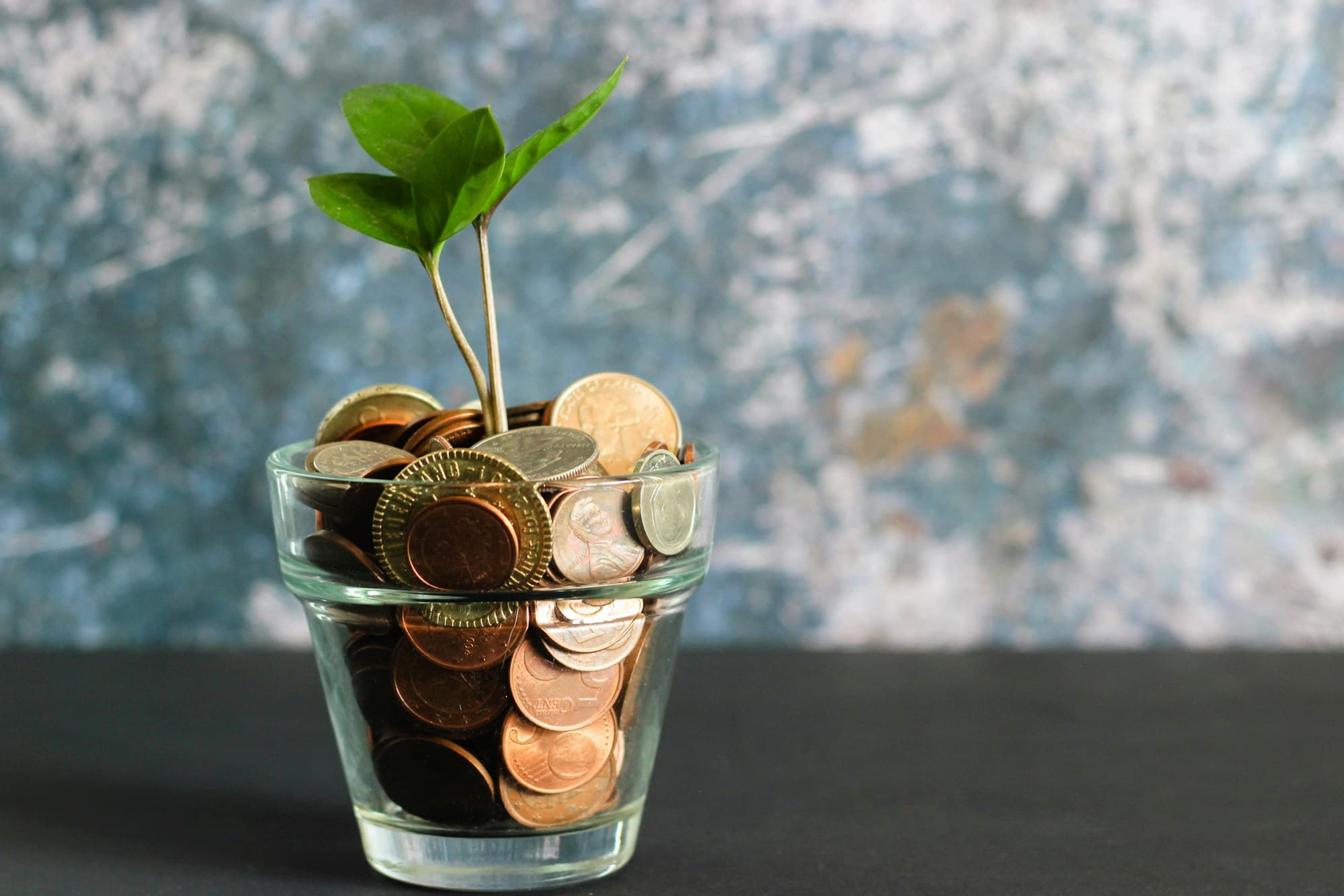 Planta que crece en un vaso lleno de monedas