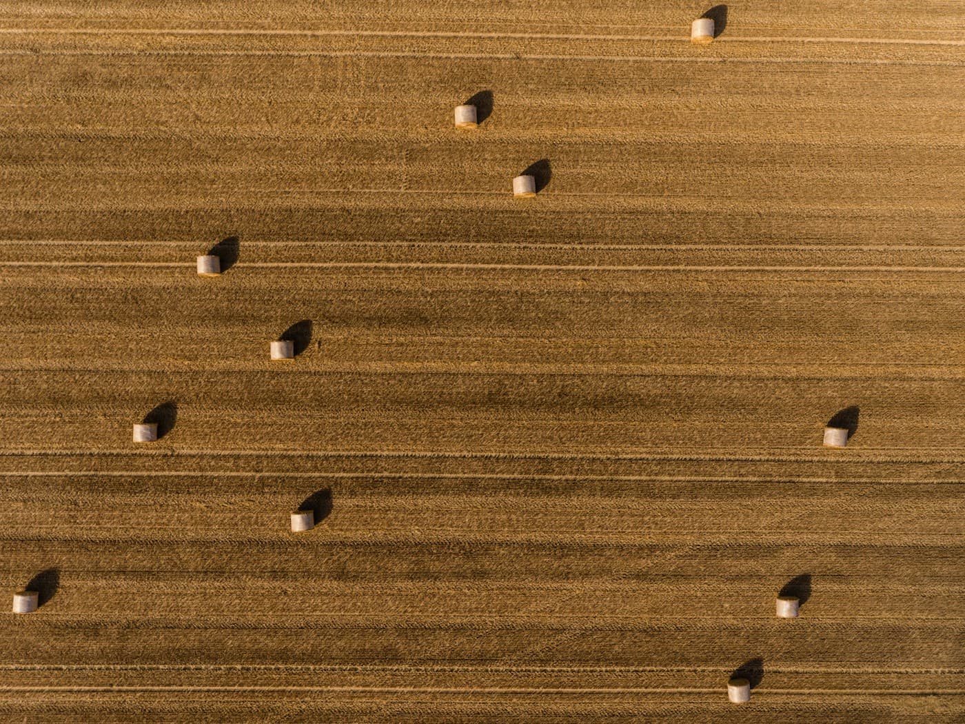 Pacas de heno en un campo cosechado, vista aérea